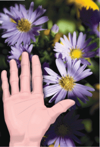 outstretched hand with flowers behind it
